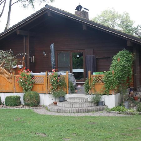 Ferienhaus Buchenblick Ankelohe Εξωτερικό φωτογραφία